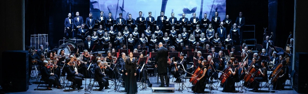 Постер Души серебряная нить в Ульяновске