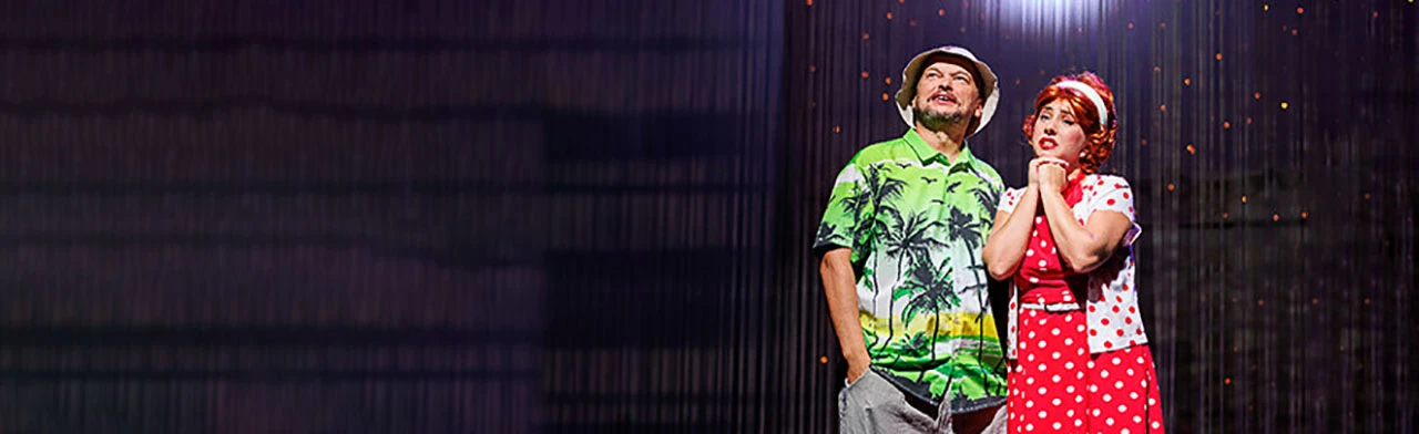 Постер Любовь и голуби