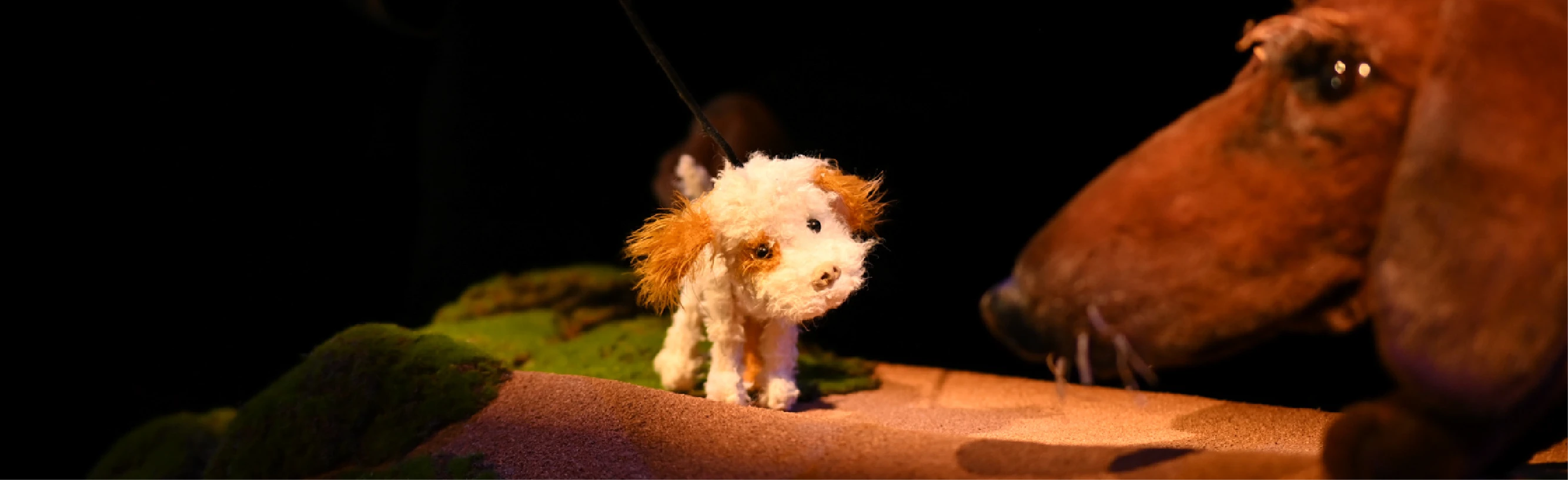 Постер Умная собачка Соня в Воронеже