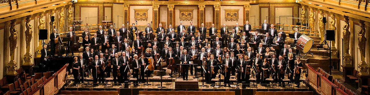 Постер Государственный академический большой симфонический оркестр им. П.И. Чайковского в Воронеже