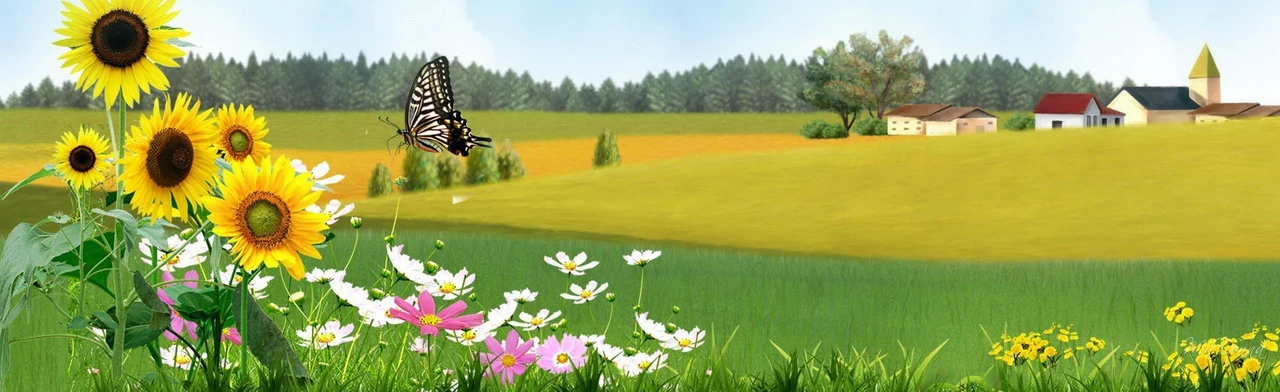 Постер Ярославская сторонка: Краеведческая игра в Ярославле