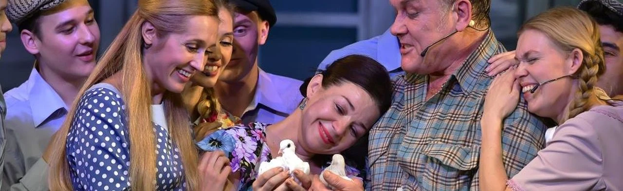 Постер Любовь и голуби в Барнауле