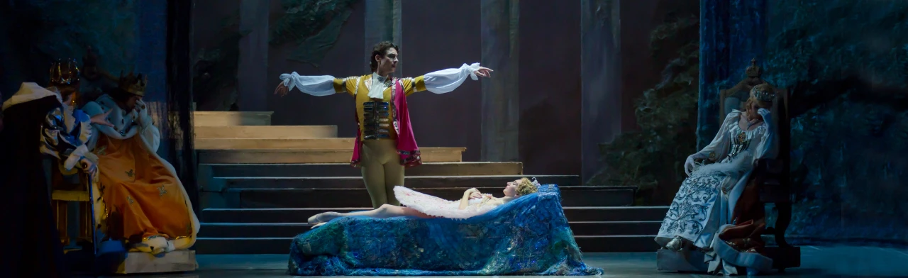 Постер Спящая Красавица в Краснодаре