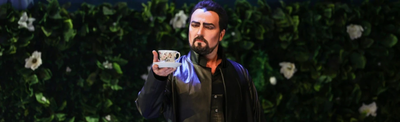 Постер Похождения повесы в Москве