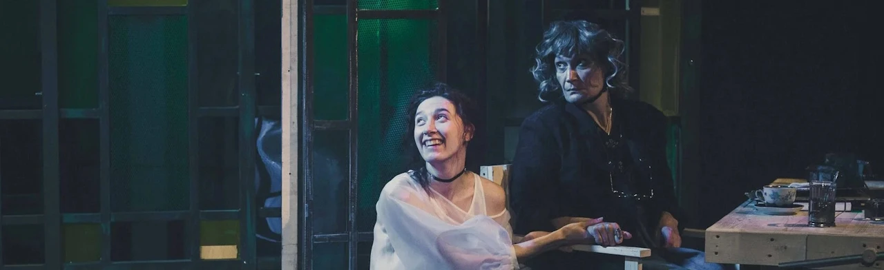 Постер Васса в Москве