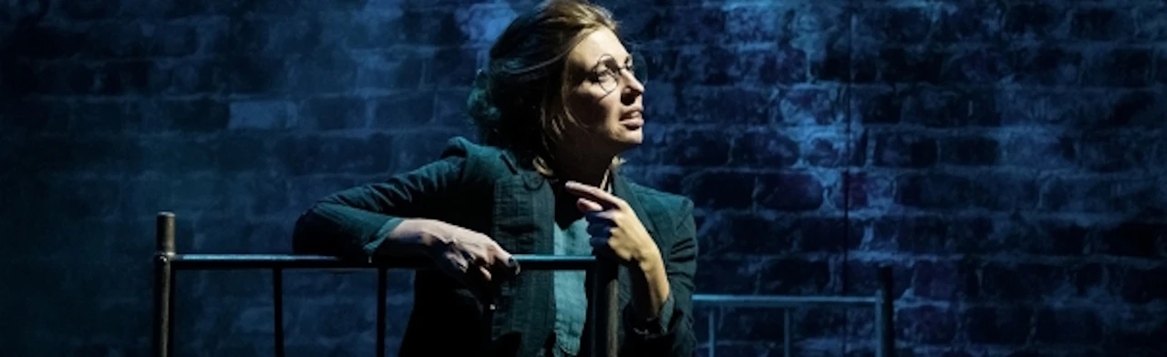 Постер Фанни в Москве