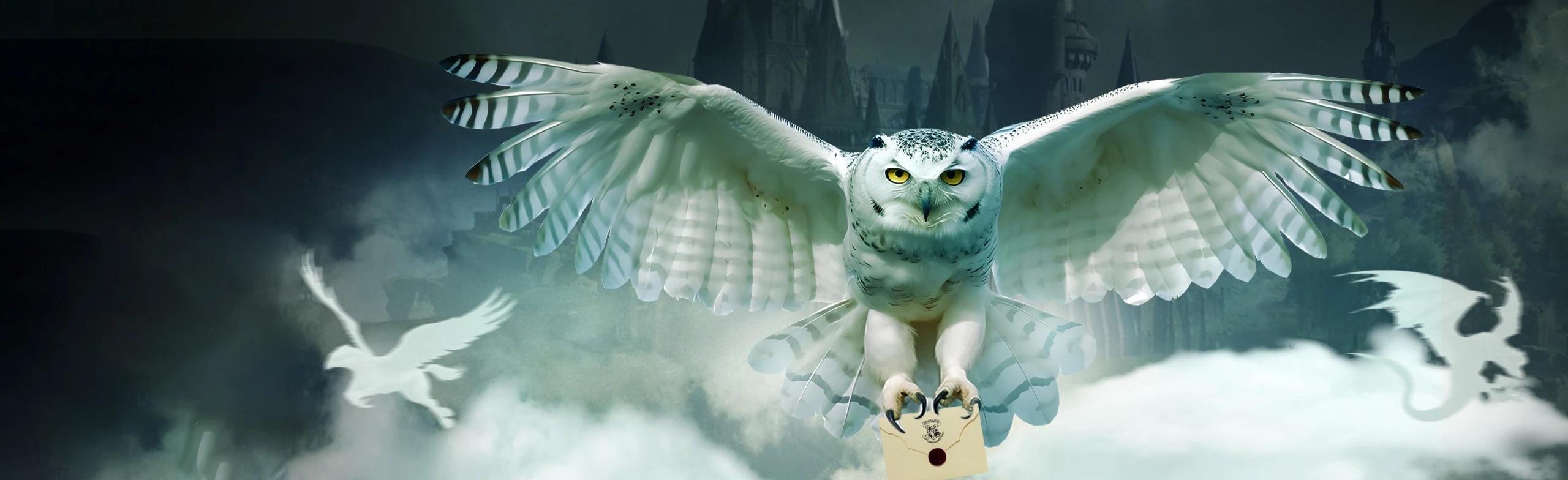 Постер Гарри Поттер. Оркестр Sonorus в Москве