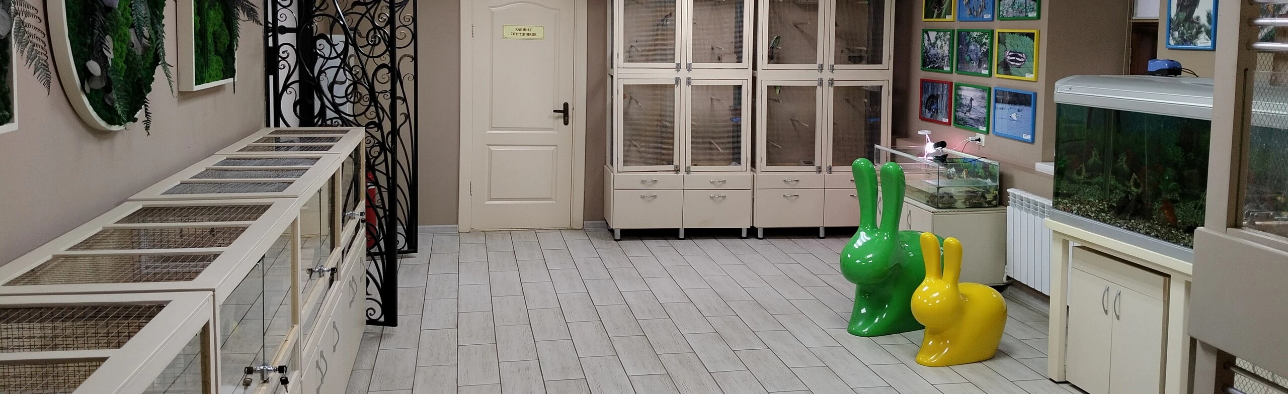 Постер Живой уголок в Музее истории города