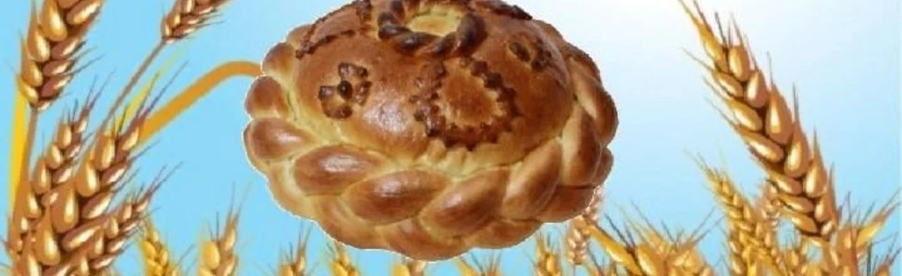 Постер От зернышка до каравая: Познавательная программа в Ростове-на-Дону