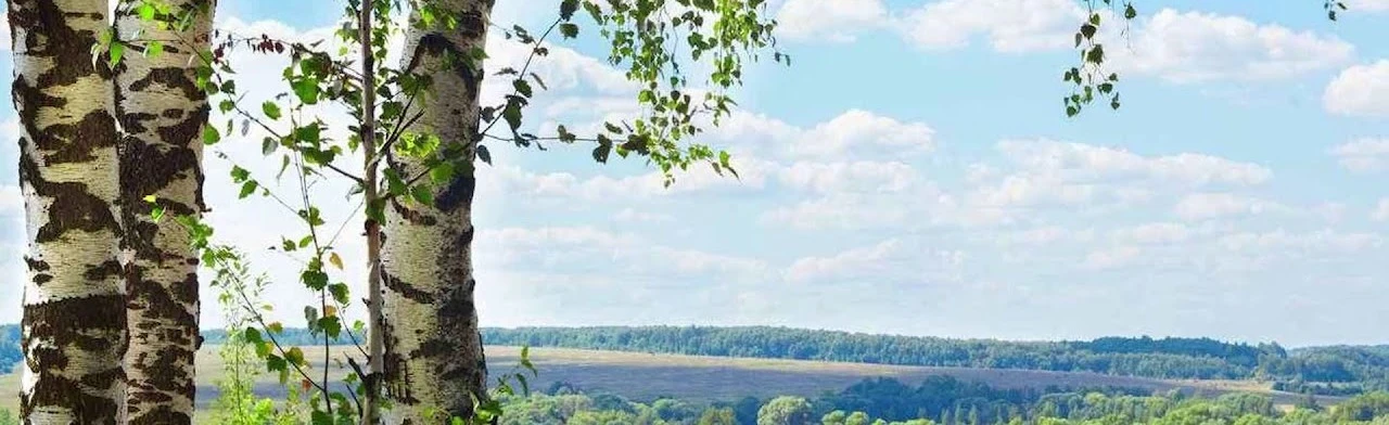 Постер Я эту землю Родиной зову: Краеведческий час в Ростове-на-Дону