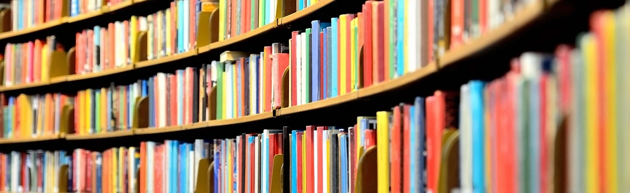 Постер Нескучная классика: Литературная игра в Ростове-на-Дону