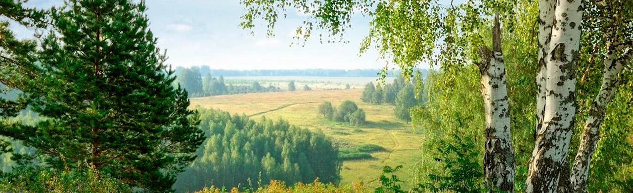 Постер Вот она какая – сторона родная! в Саратове