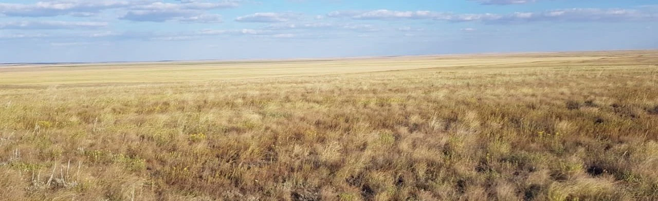 Постер Родной земли очарованье. Историко-литературная игра в Саратове