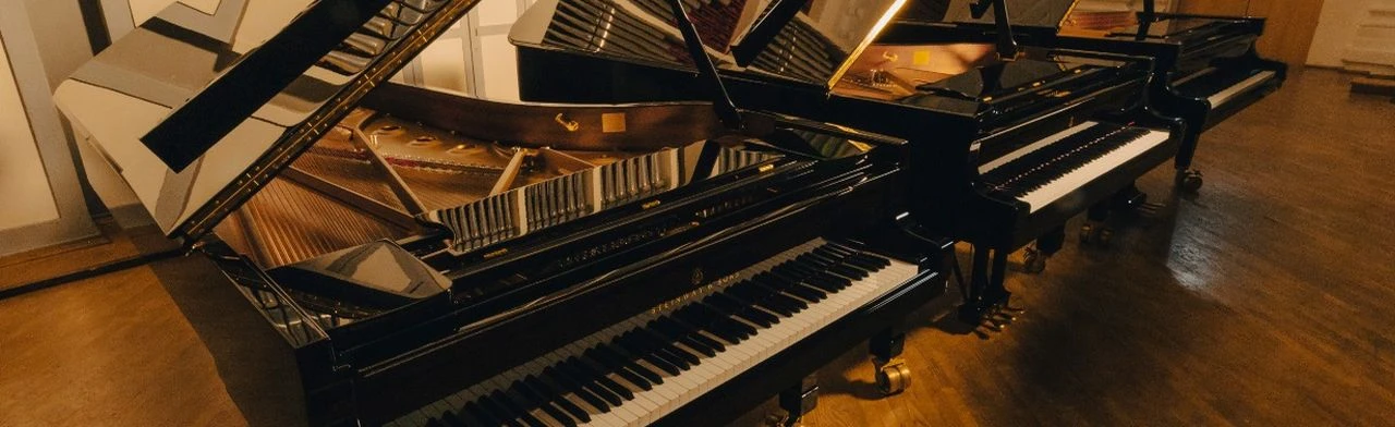 Постер Вечер фортепианных дуэтов