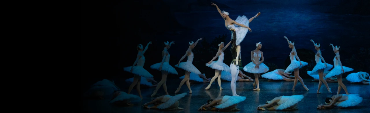 Постер Лебединое озеро в Самаре