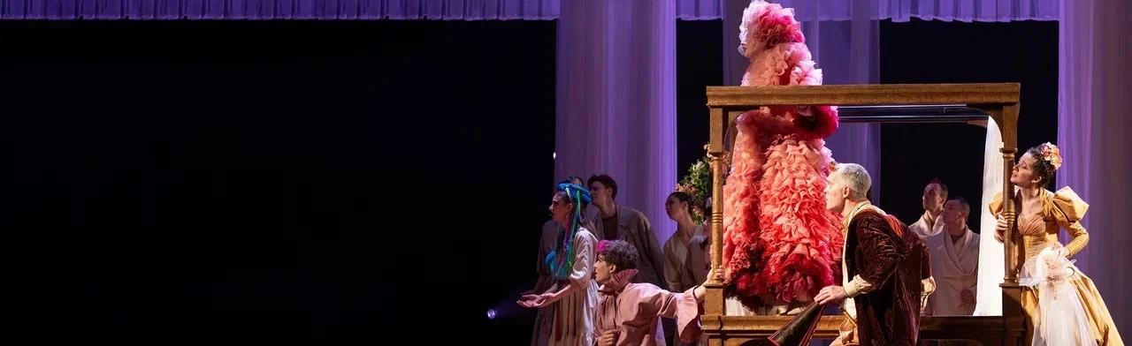 Постер Женитьба Фигаро в Санкт-Петербурге