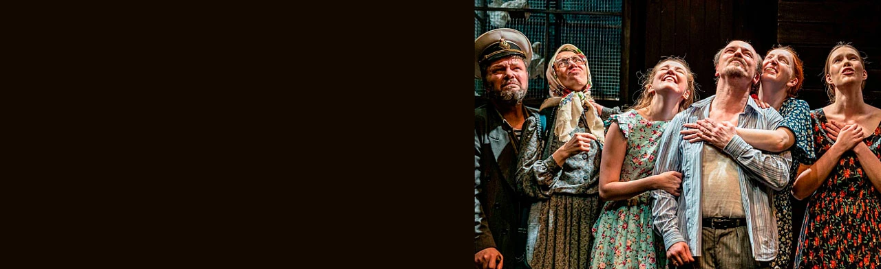 Постер Спектакль "Любовь и голуби". в Санкт-Петербурге