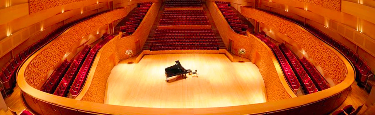 Постер Вечер фортепианной музыки (Мариинский , Концертный зал) в Санкт-Петербурге