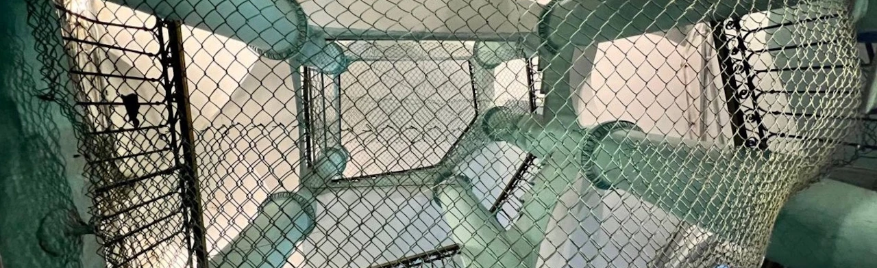 Постер Экскурсия Неформальный микс с подъемом на смотровую площадку в Санкт-Петербурге