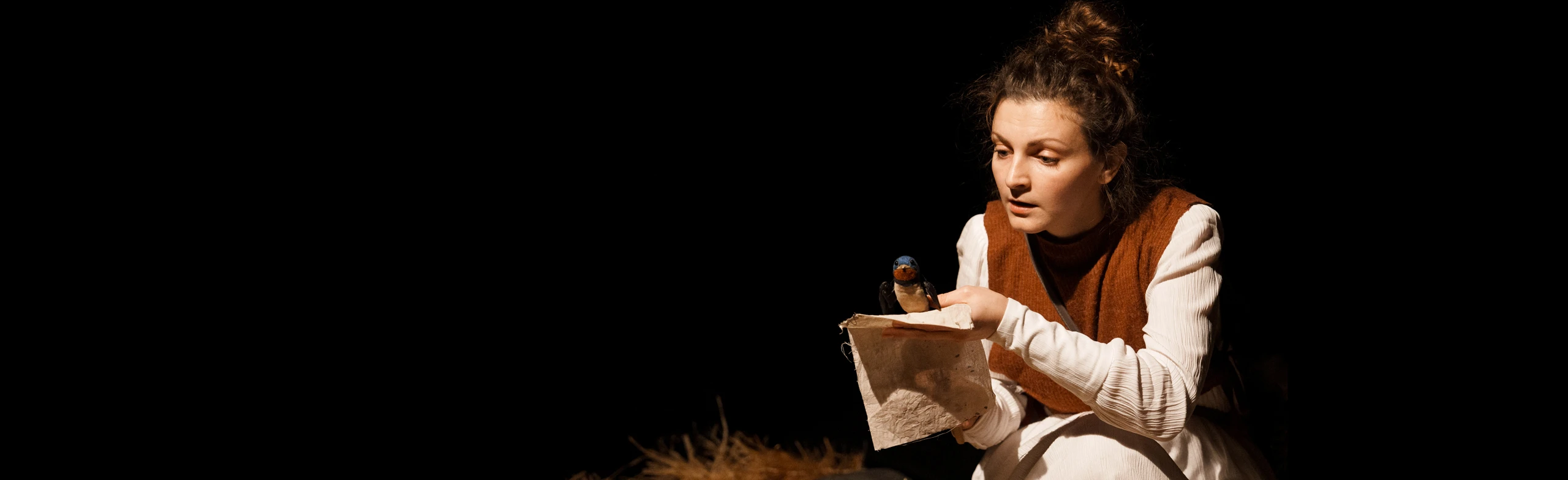 Постер Дневник ласточки в Санкт-Петербурге