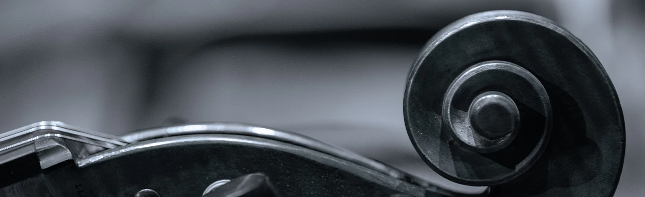 Постер Созвездие молодых. Концерт в Улан-Удэ