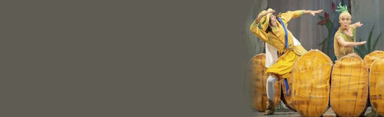 Постер Чиполлино в Улан-Удэ