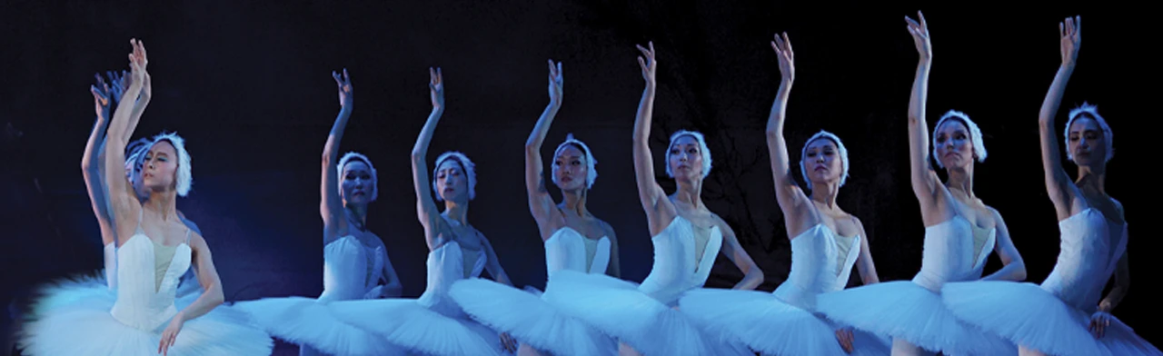 Постер Лебединое озеро