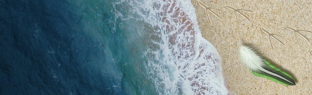 Постер Попугайчик Пай