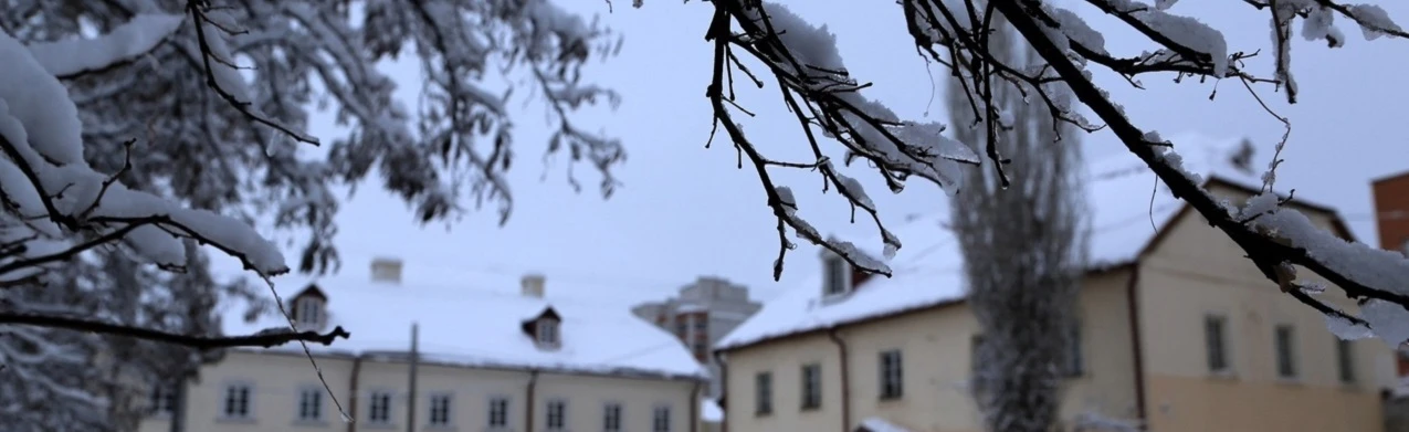 Постер Резиденция Деда Мороза в Старой Сарепте в Волгограде