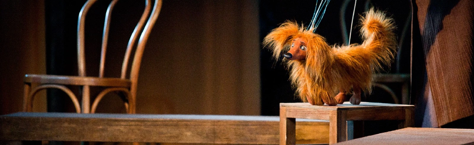 Постер Каштанка в Воронеже